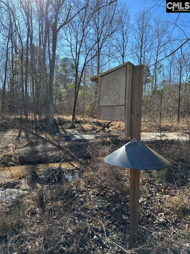 River Road Winnsboro, SC 29180 - Photo 19 of 20