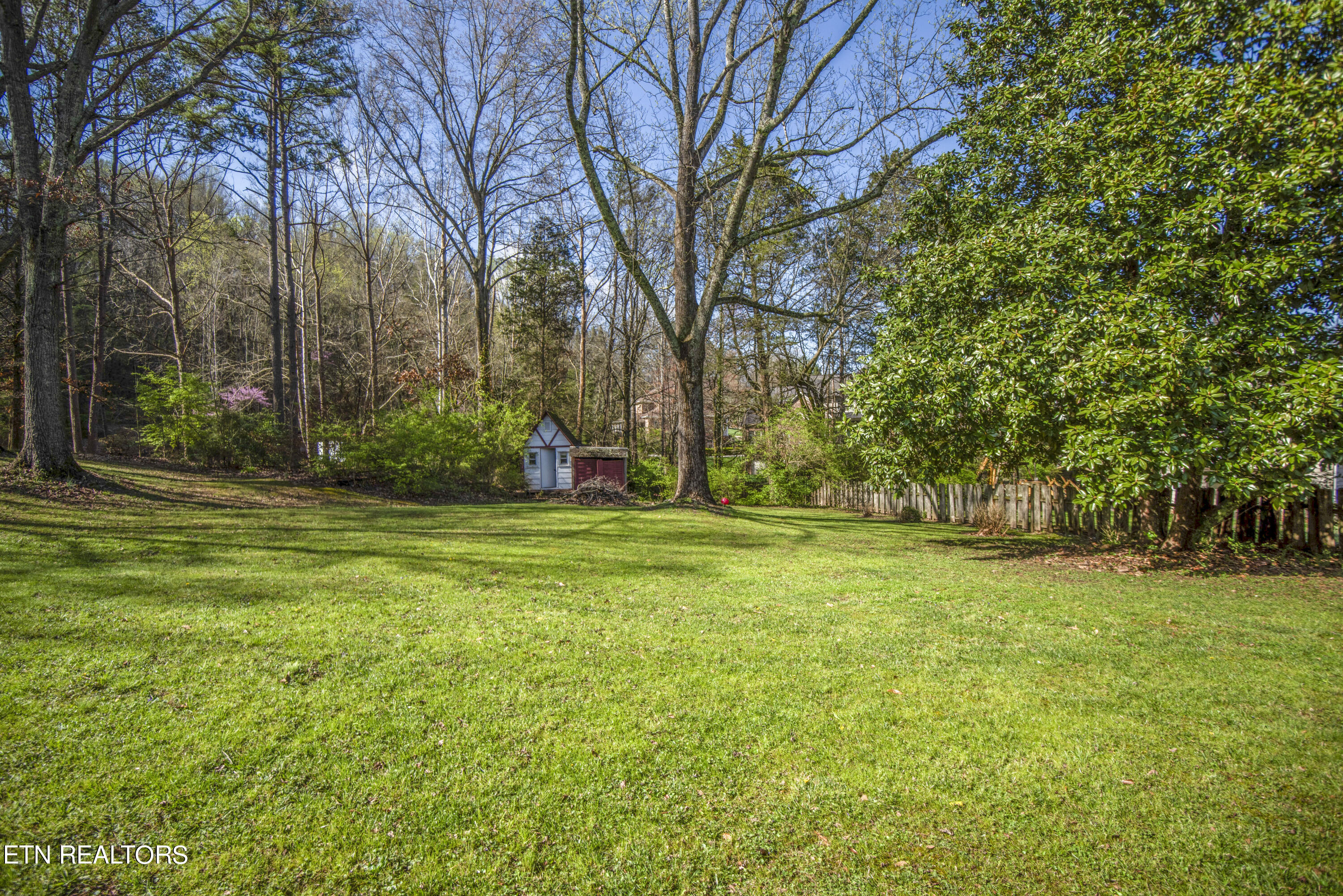 6901 Mulberry Road Knoxville, TN 37918 - Photo 36 of 37 yard 7_1