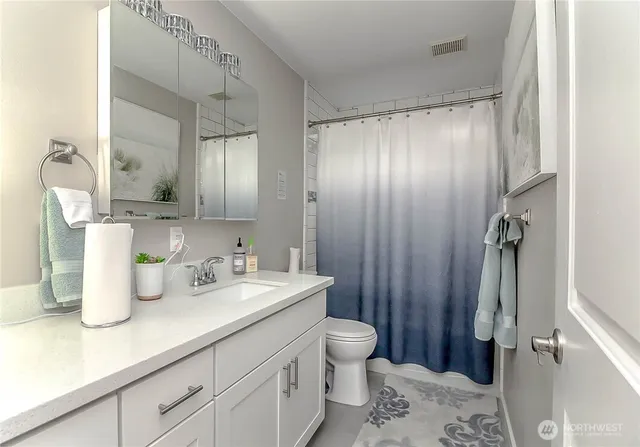 a bathroom with a sink a toilet and shower curtain