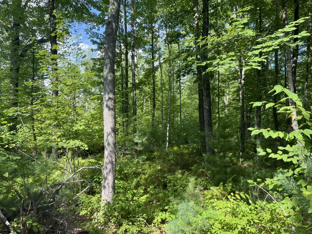 0 County Road Lyman, ME 04002 - Photo 2 of 4 Land