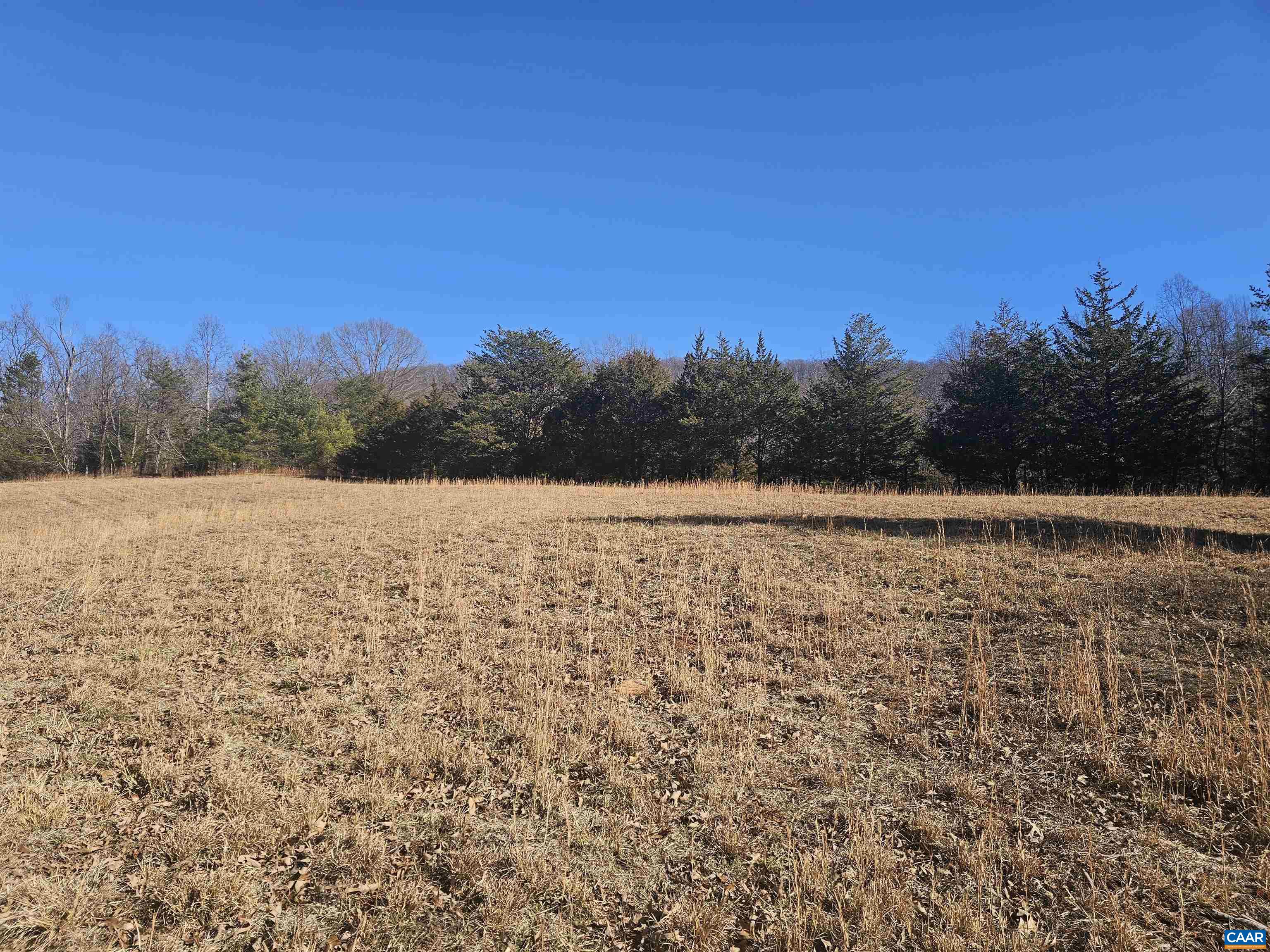 7-ac Castle Rock Road Afton, VA 22920 - Photo 11 of 11