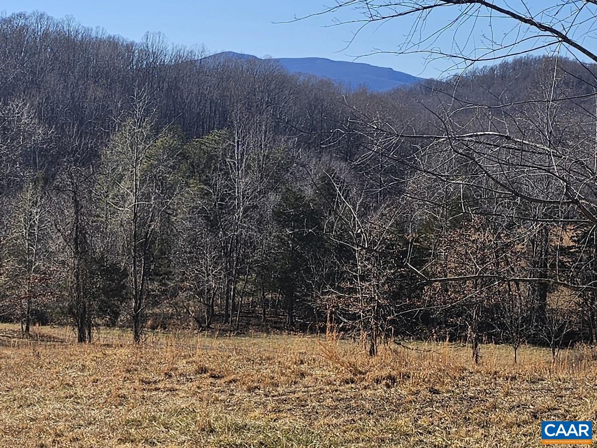 7-ac Castle Rock Road Afton, VA 22920 - Photo 4 of 11