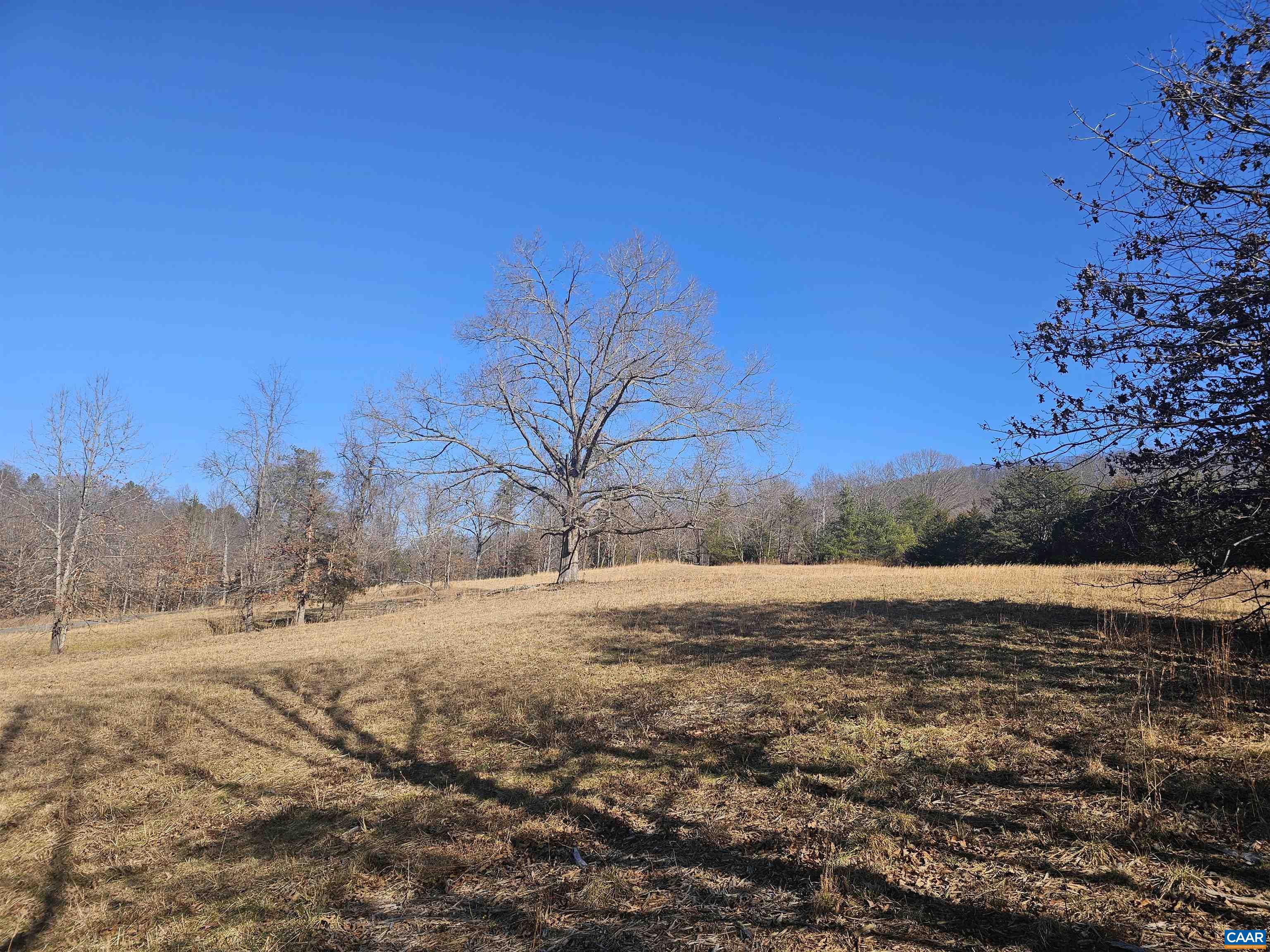 7-ac Castle Rock Road Afton, VA 22920 - Photo 6 of 11