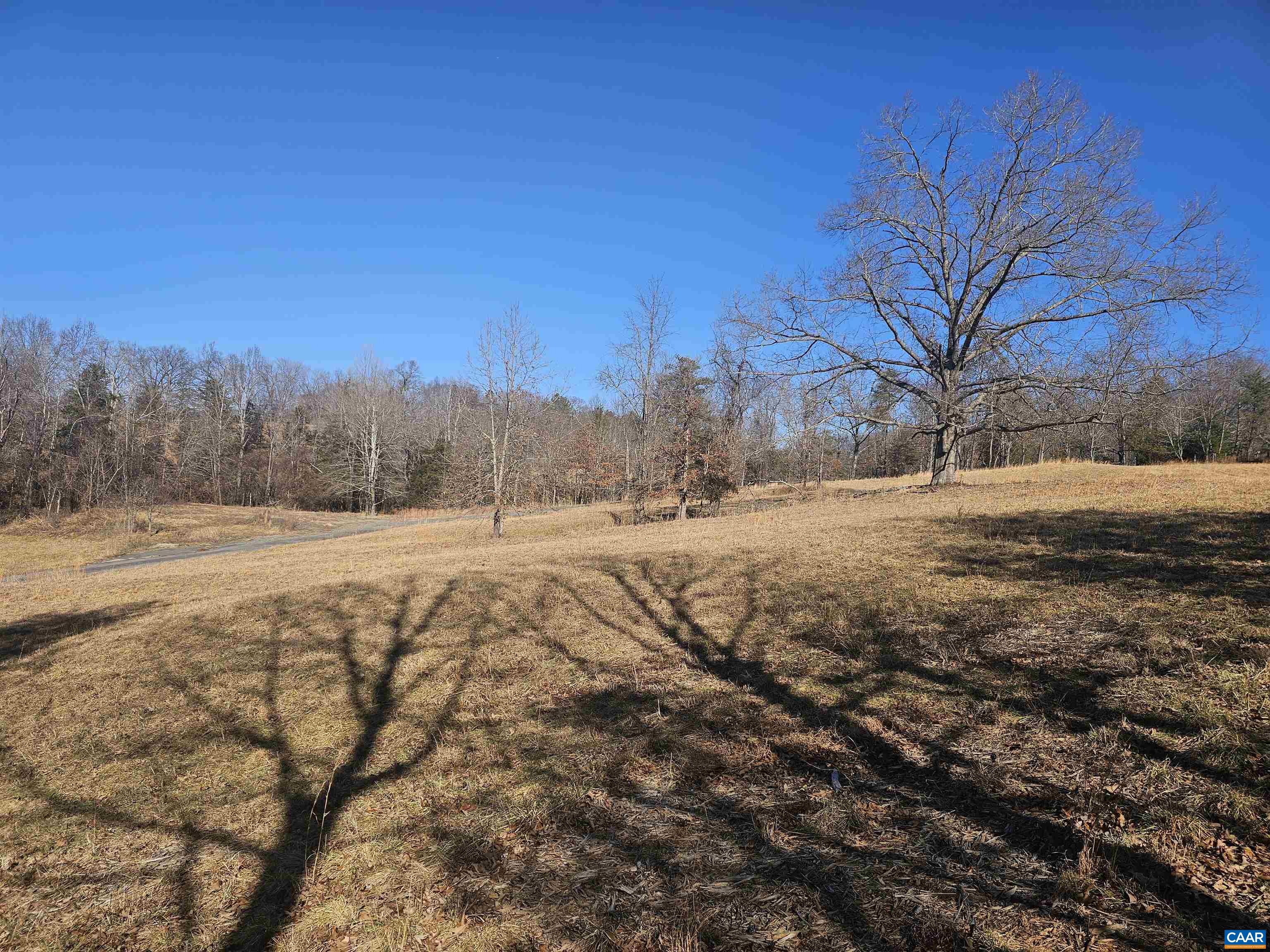 7-ac Castle Rock Road Afton, VA 22920 - Photo 7 of 11