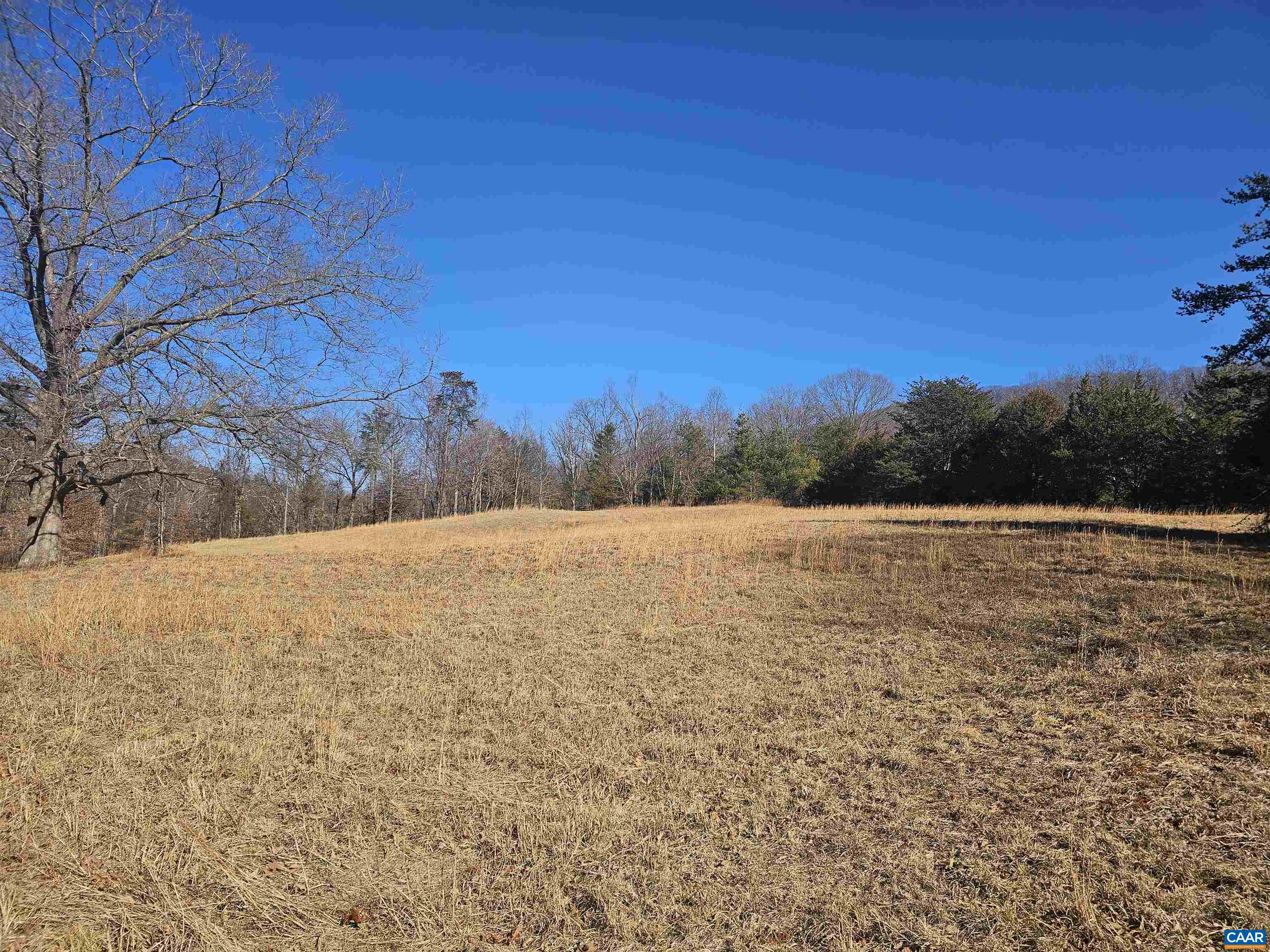 7-ac Castle Rock Road Afton, VA 22920 - Photo 8 of 11