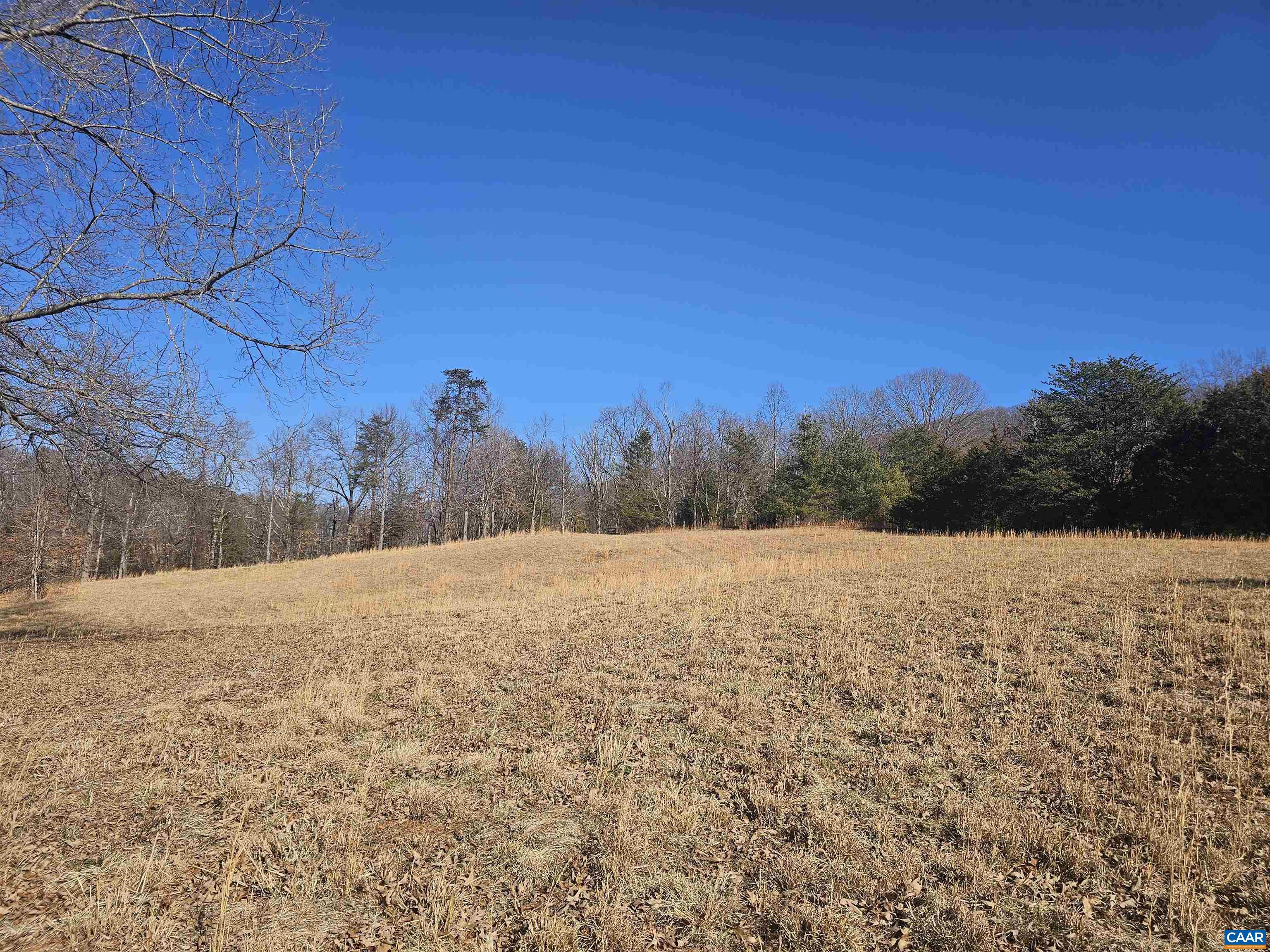 7-ac Castle Rock Road Afton, VA 22920 - Photo 9 of 11