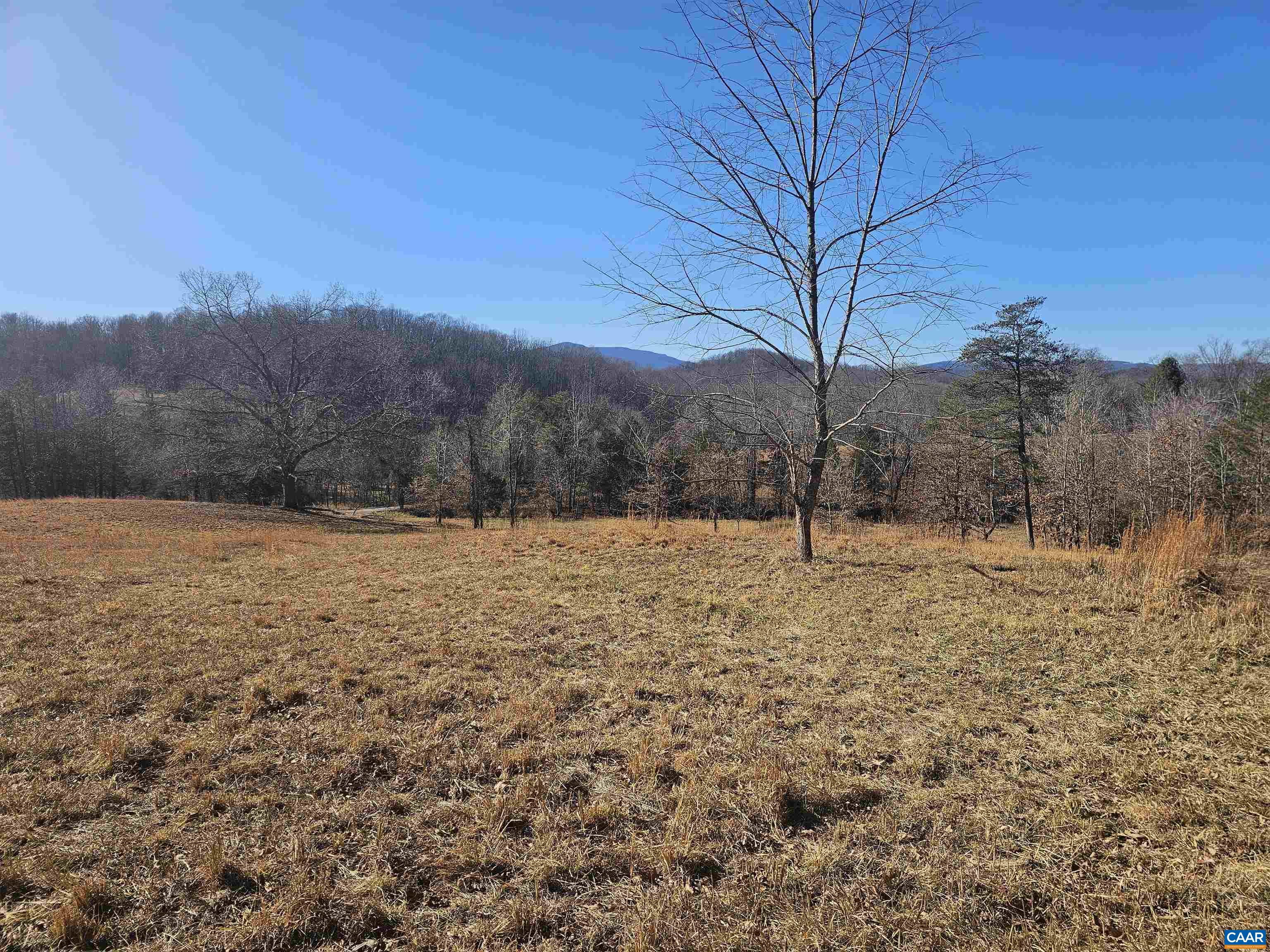 7-ac Castle Rock Road Afton, VA 22920 - Photo 10 of 11