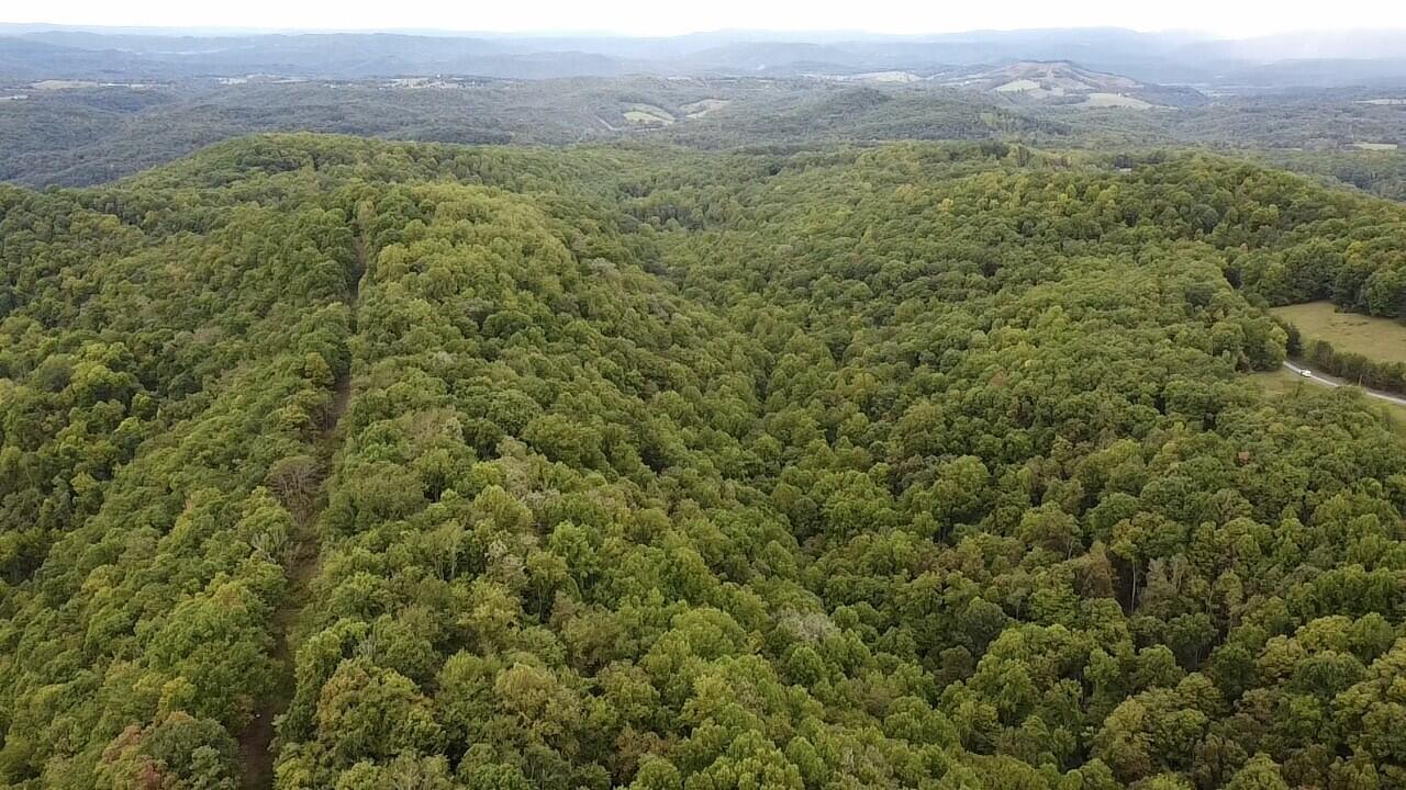 Sarton-wayside Rd Wayside Wv 24985 Union, WV 24983 - Photo 5 of 15 Gallery Image 5