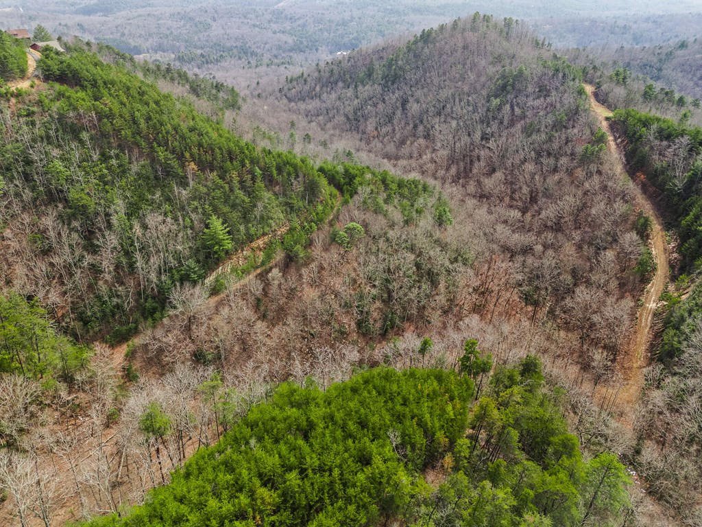 13-acres American Eagle Road Murphy, NC 28906 - Photo 8 of 17