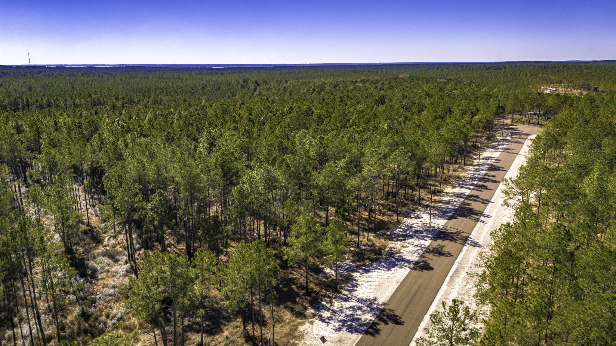 47 Tumbleweed Ranch Road Onalaska, TX 77360 - Photo 9 of 12 a view of an ocean from a yard