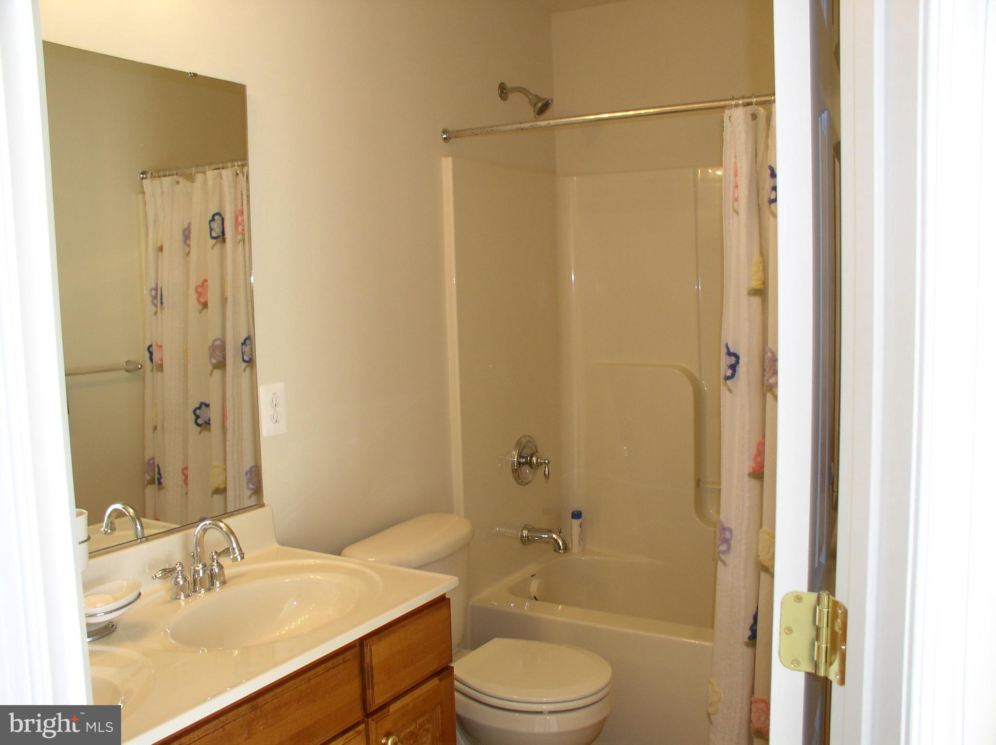 169 Thomas Jefferson Terrace Elkton, MD 21921 - Photo 13 of 19 a bathroom with a sink a toilet and shower