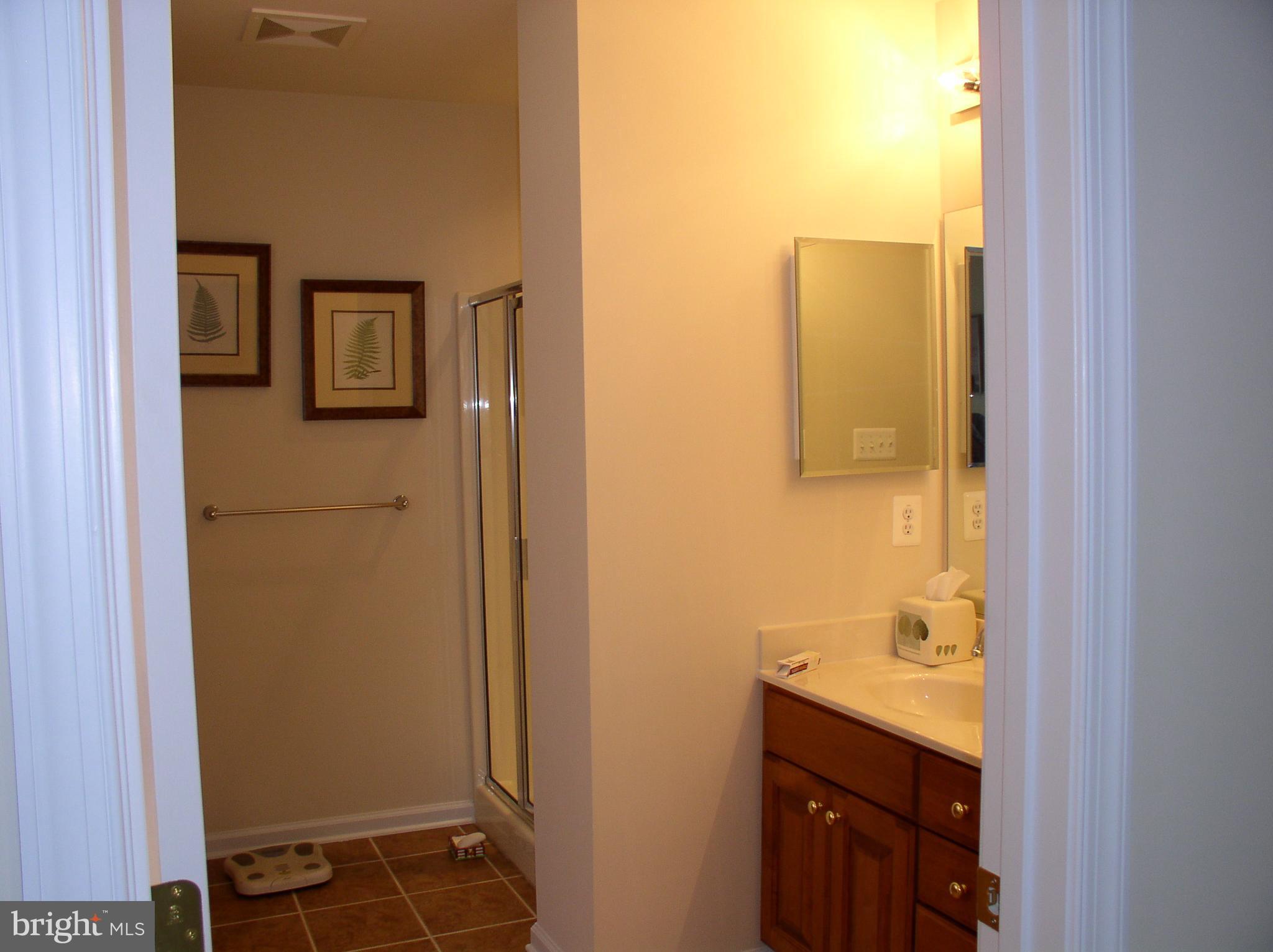 169 Thomas Jefferson Terrace Elkton, MD 21921 - Photo 14 of 19 a bathroom with a sink and a mirror