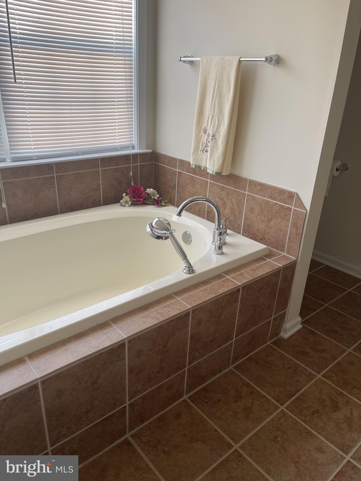 169 Thomas Jefferson Terrace Elkton, MD 21921 - Photo 10 of 19 a bathroom with a sink and a mirror