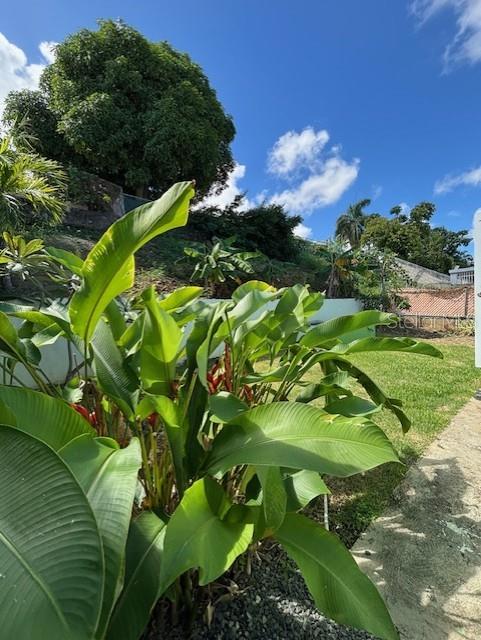 8 (mar), Unit D8 Fajardo, PR 00738 - Photo 10 of 94