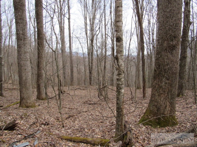 1531 Peak Road Creston, NC 28615 - Photo 18 of 21 Gallery Image 18