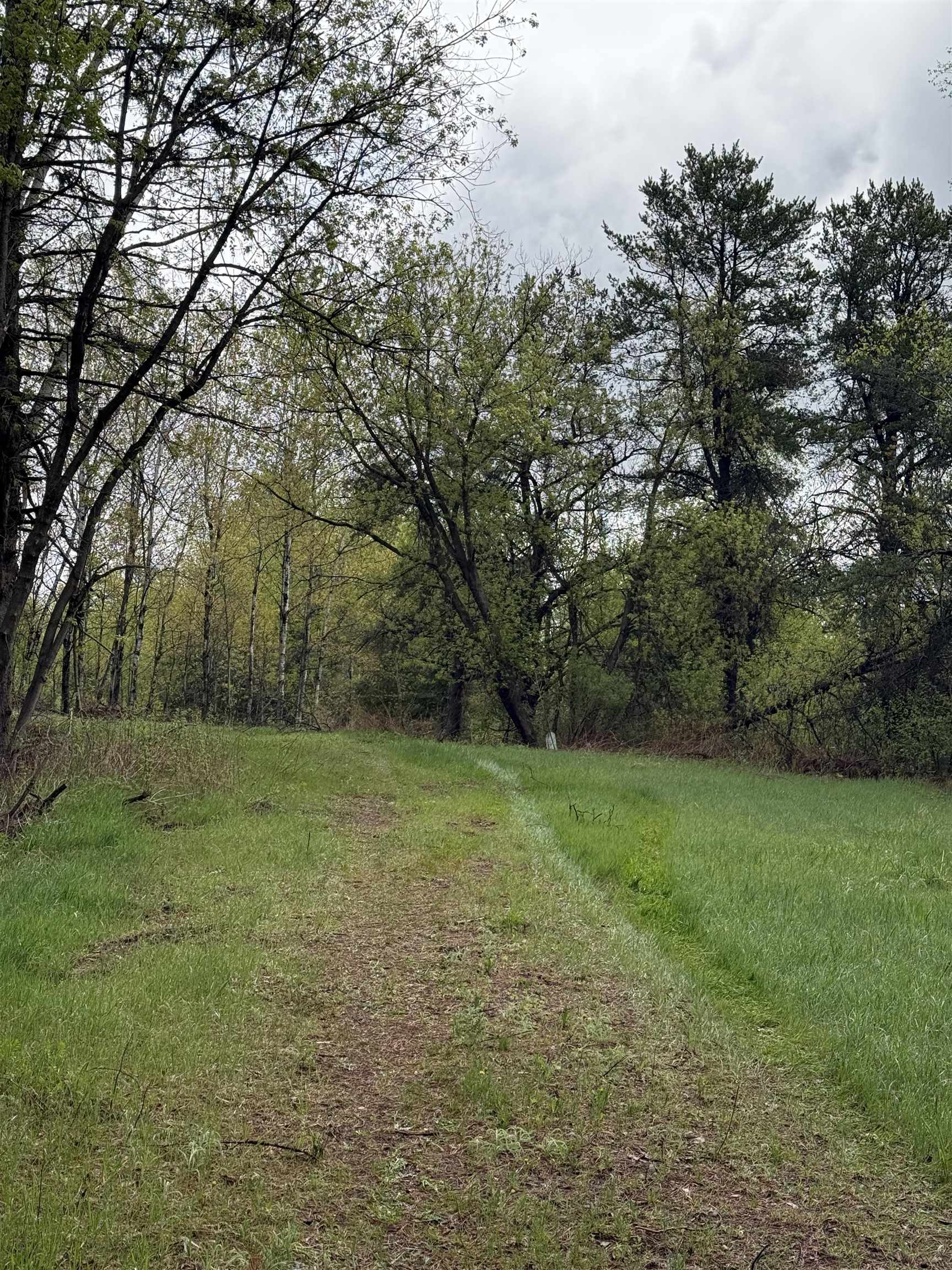 64 Stenman Road Esko, MN 55733 - Photo 14 of 21