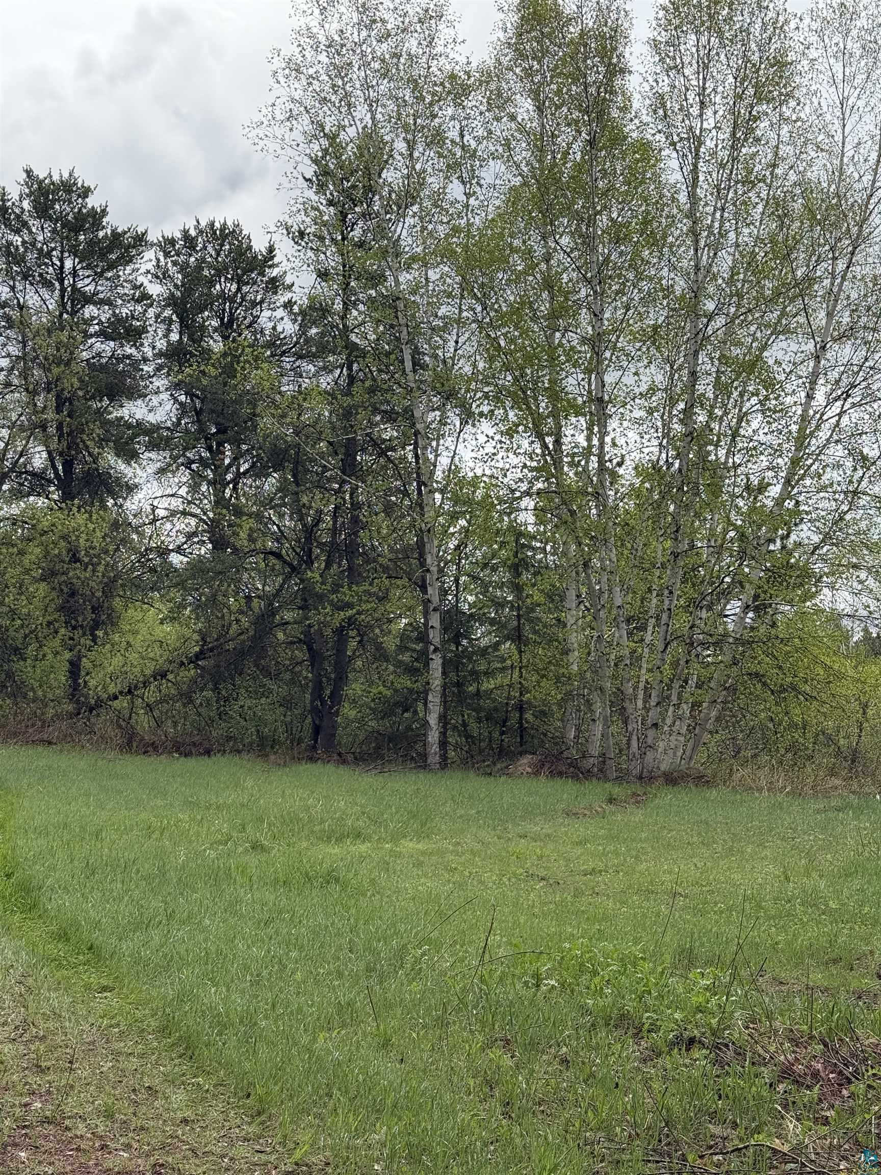 64 Stenman Road Esko, MN 55733 - Photo 15 of 21