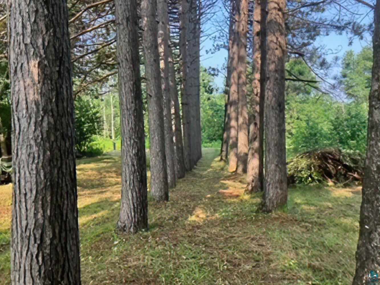 64 Stenman Road Esko, MN 55733 - Photo 19 of 21