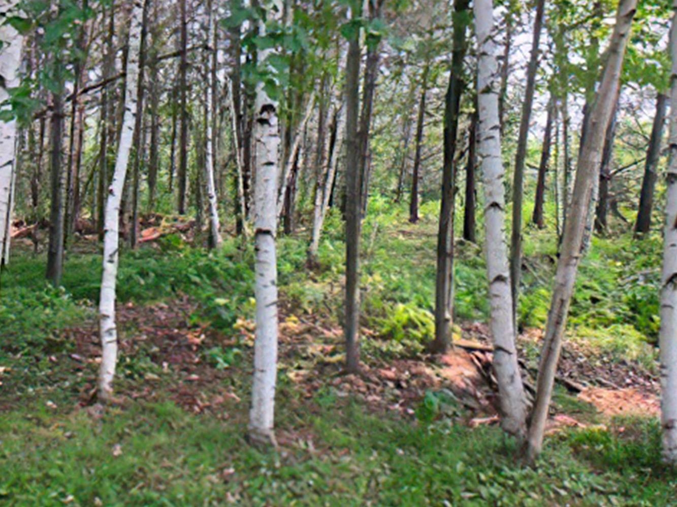 64 Stenman Road Esko, MN 55733 - Photo 21 of 21