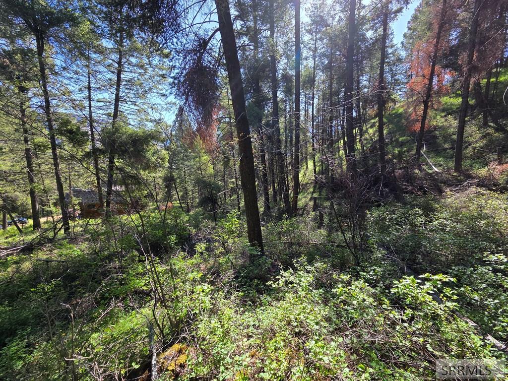 21 Pinetree Drive Salmon, ID 83467 - Photo 23 of 71