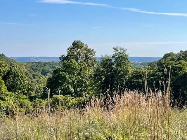 $44,170 | 2388 Plummer Hill Road, Hardin, IL 62047