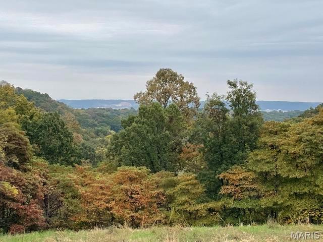 2388 Plummer Hill Road Hardin, IL 62047 - Photo 14 of 17