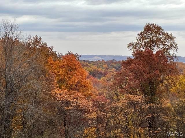 2388 Plummer Hill Road Hardin, IL 62047 - Photo 15 of 17