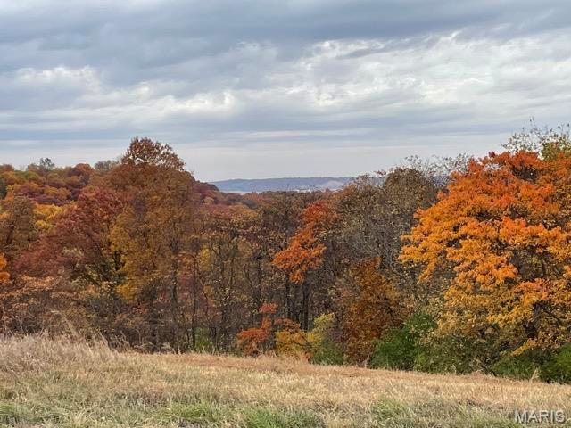 2388 Plummer Hill Road Hardin, IL 62047 - Photo 16 of 17