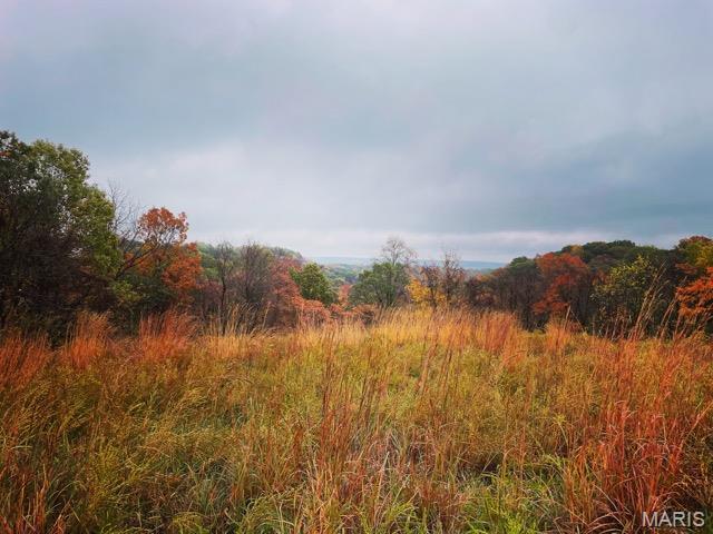 2388 Plummer Hill Road Hardin, IL 62047 - Photo 17 of 17