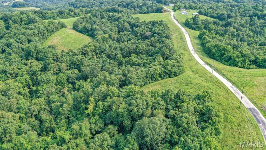 2388 Plummer Hill Road Hardin, IL 62047 - Photo 6 of 17