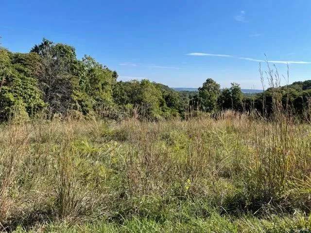 $44,170 | 2388 Plummer Hill Road, Hardin, IL 62047