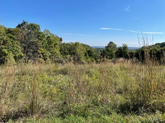 2388 Plummer Hill Road Hardin, IL 62047 - Photo 10 of 17