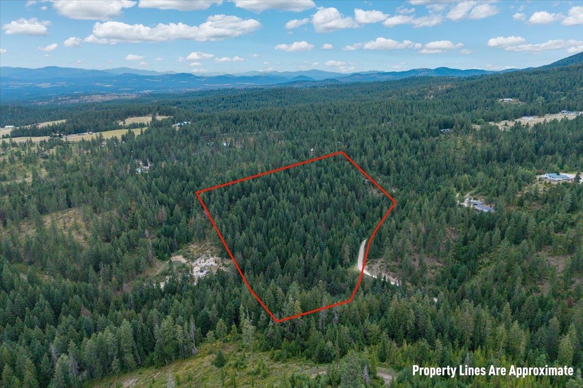 28420 Thunderhill Road Chattaroy, WA 99003 - Photo 21 of 26 Gallery Image 21
