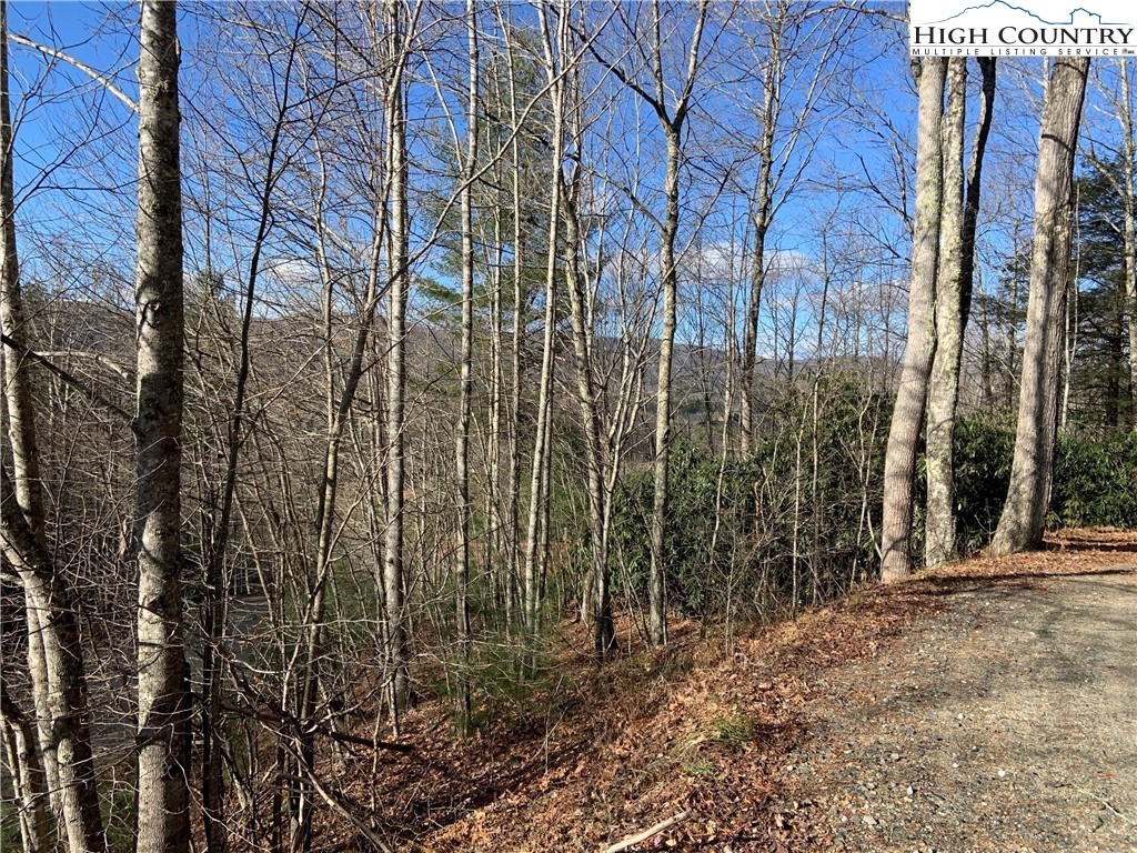 1708 Rash School Road Creston, NC 28615 - Photo 34 of 34 Gallery Image 34