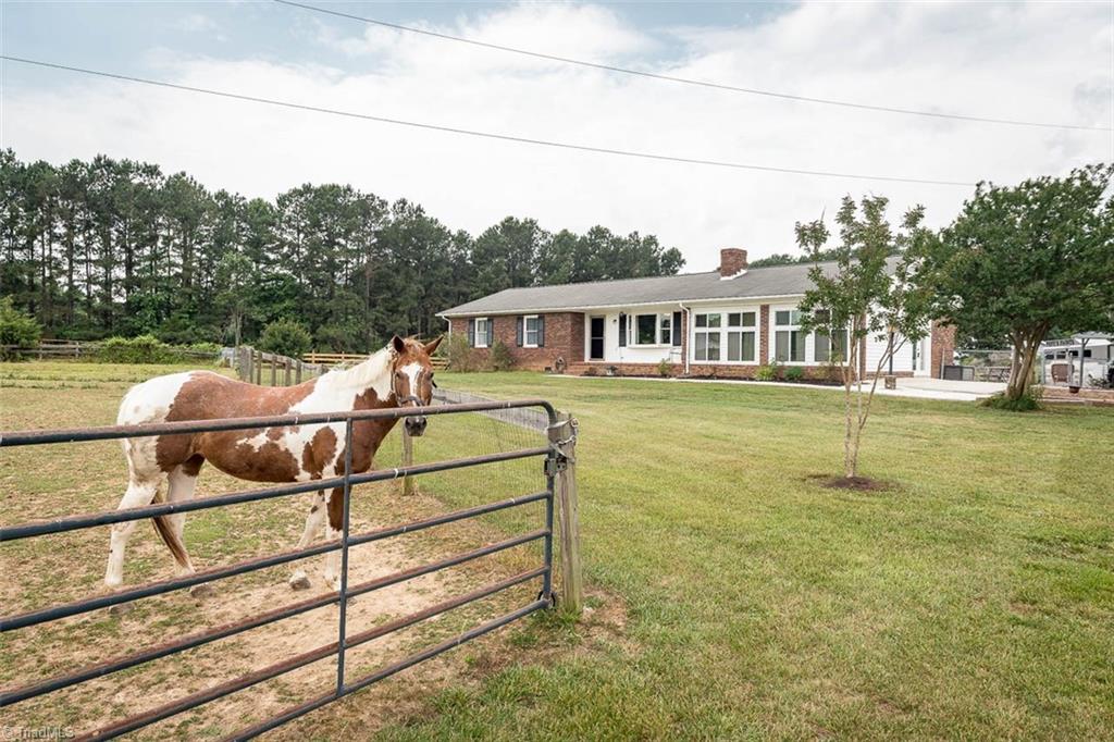 7110 Caviness Jordan Road Cedar Grove, NC 27231 - Photo 20 of 30 Gallery Image 20