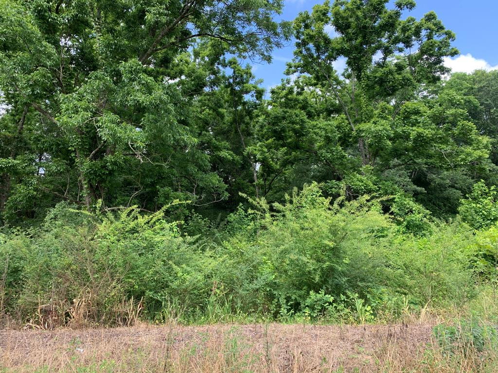 0 Corinth Road Slocomb, AL 36375 - Photo 1 of 11