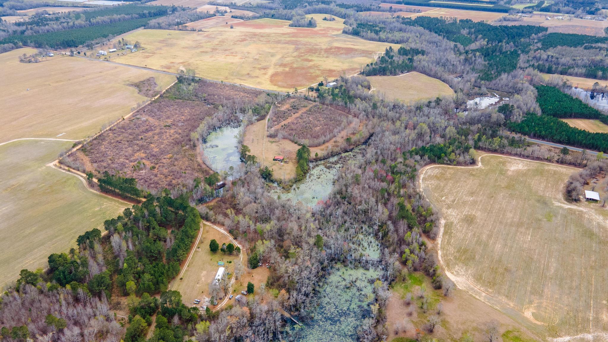 1420 Baltic Road Blackville, SC 29817 - Photo 15 of 22