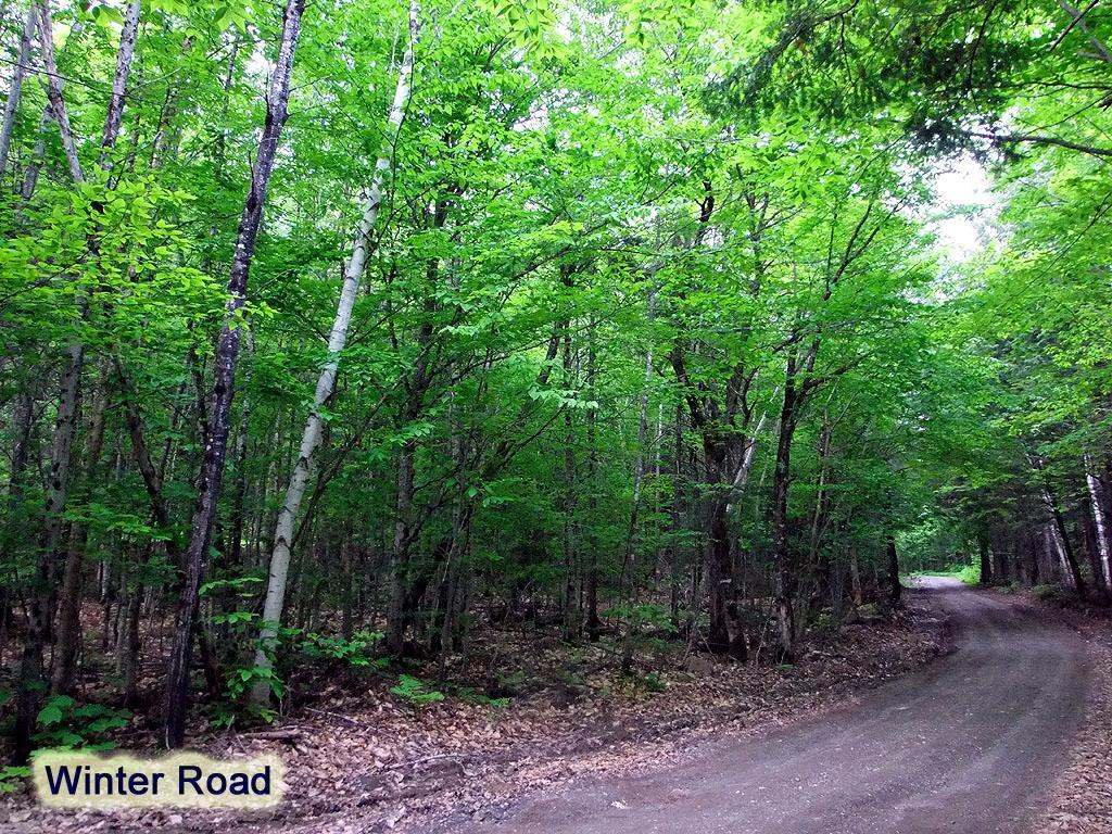 Lot 1 South Shore Road Houlton, ME 04730 - Photo 19 of 35 Photo