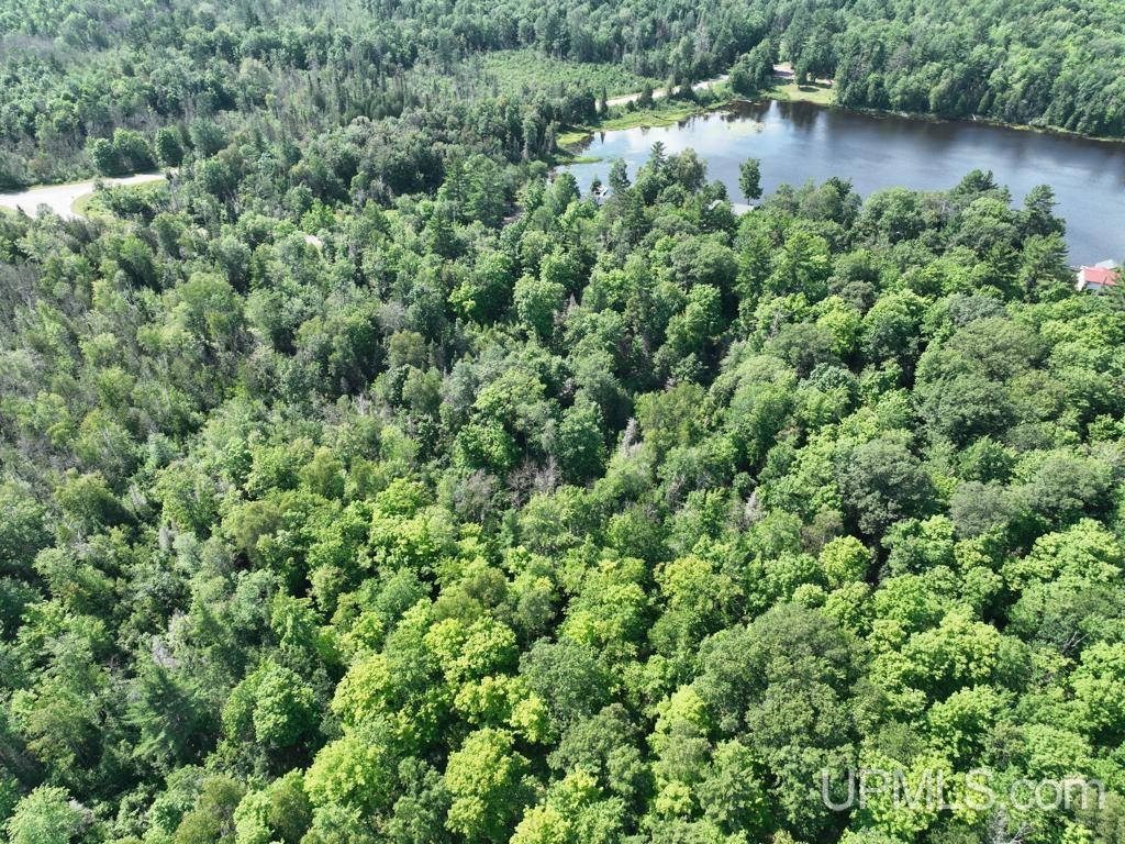 0 Gold Mine Lake Road Ishpeming, MI 49849 - Photo 11 of 19