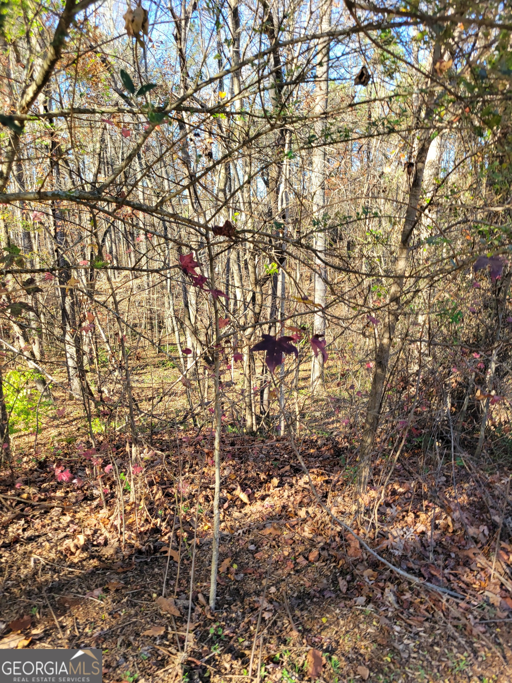 6920 Black Fox Lane Cumming, GA 30040 - Photo 2 of 4 Street View
