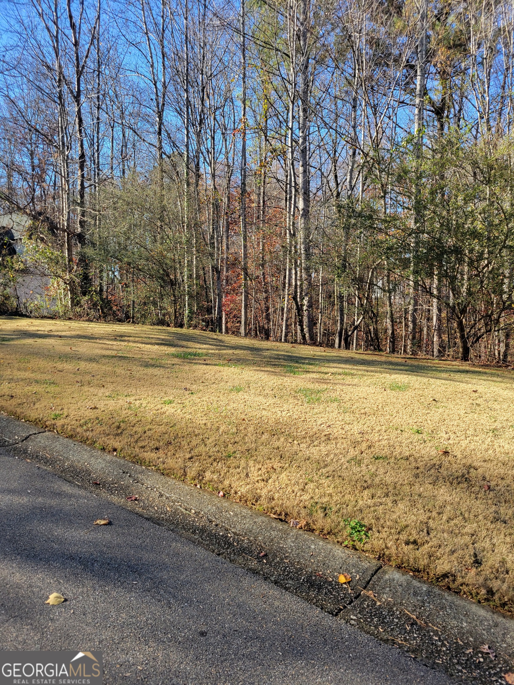6920 Black Fox Lane Cumming, GA 30040 - Photo 3 of 4 Street view
