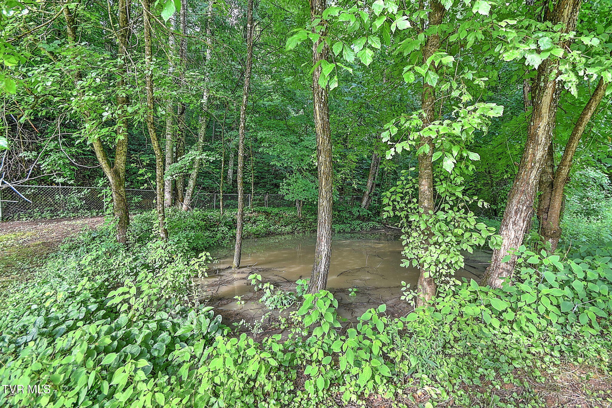 655 Wadlow Gap Road Kingsport, TN 37660 - Photo 63 of 66 32-web-or-mls-649 Wadalow Gap DP-33