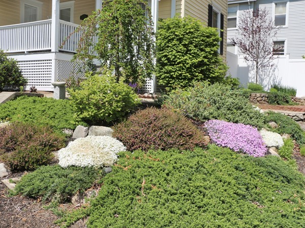 66 Winter Street Franklin, MA 02038 - Photo 24 of 30 a view of a yard with plants and flowers