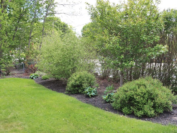66 Winter Street Franklin, MA 02038 - Photo 28 of 30 a view of a yard with a tree