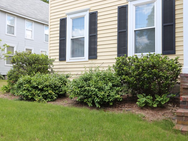 66 Winter Street Franklin, MA 02038 - Photo 29 of 30 a view of a backyard with plants