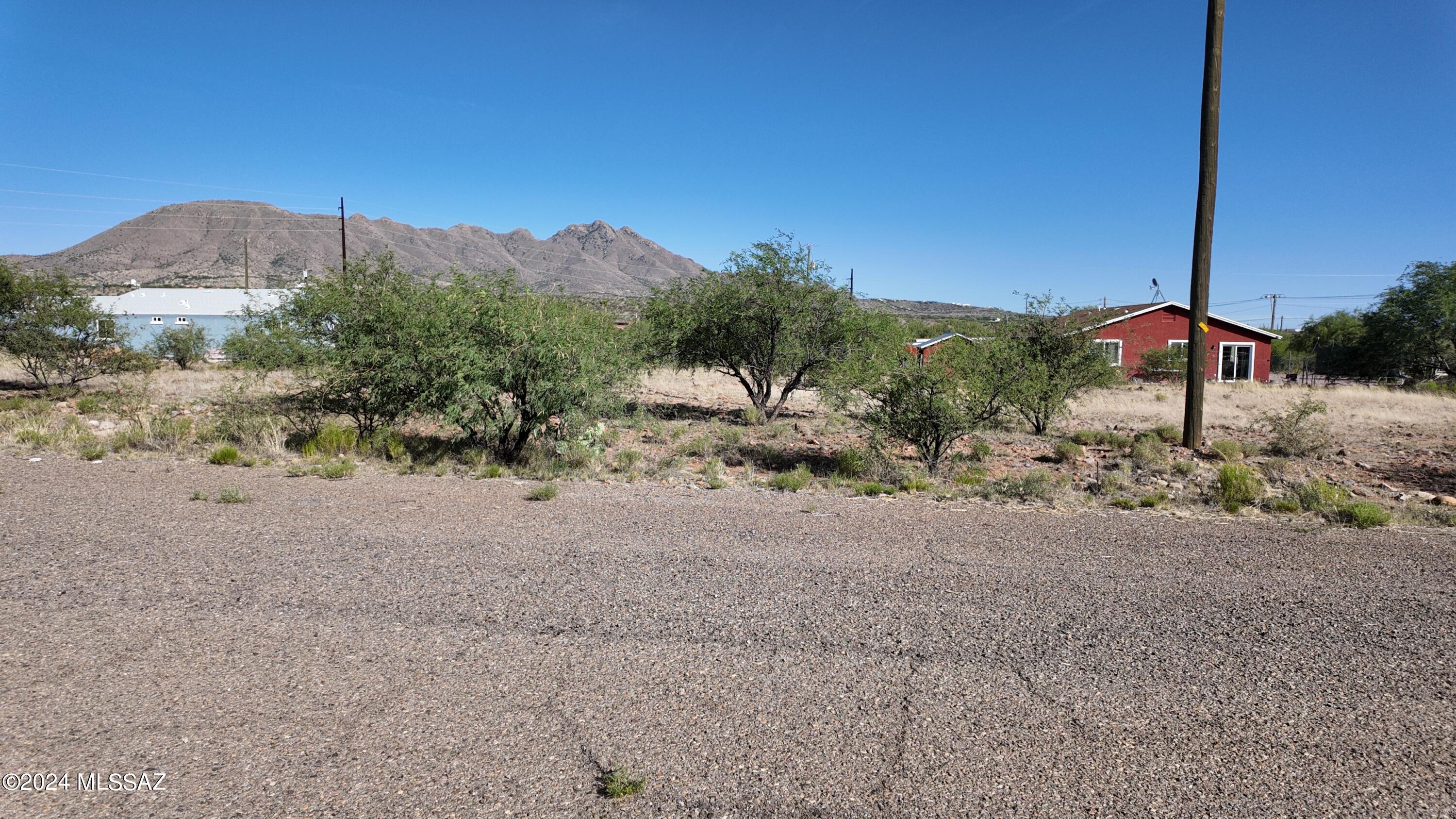 105 Bretana Court, Unit 114 Rio Rico, AZ 85648 - Photo 1 of 15 a view of a road with a large trees