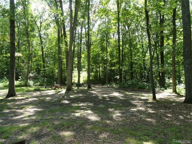 10355 Roberts Road Gregory, MI 48137 - Photo 6 of 18 Yard2.jpg
