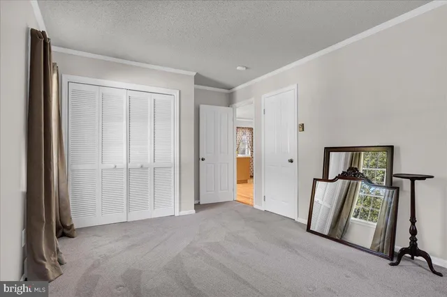 a bathroom with a sink a mirror and a shower