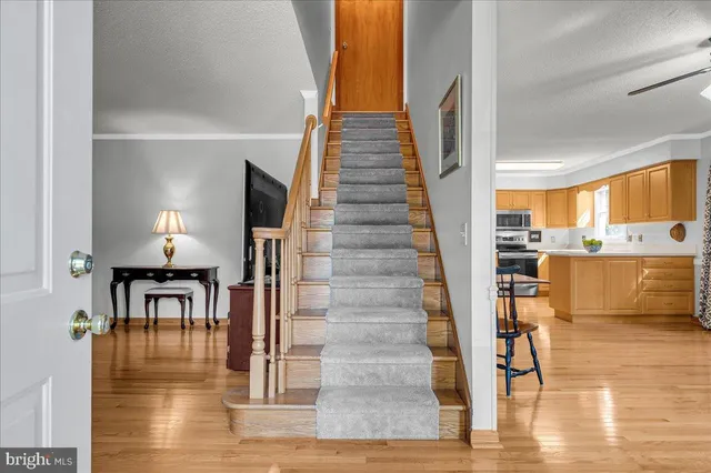 a view of entryway livingroom and hall with wooden floor