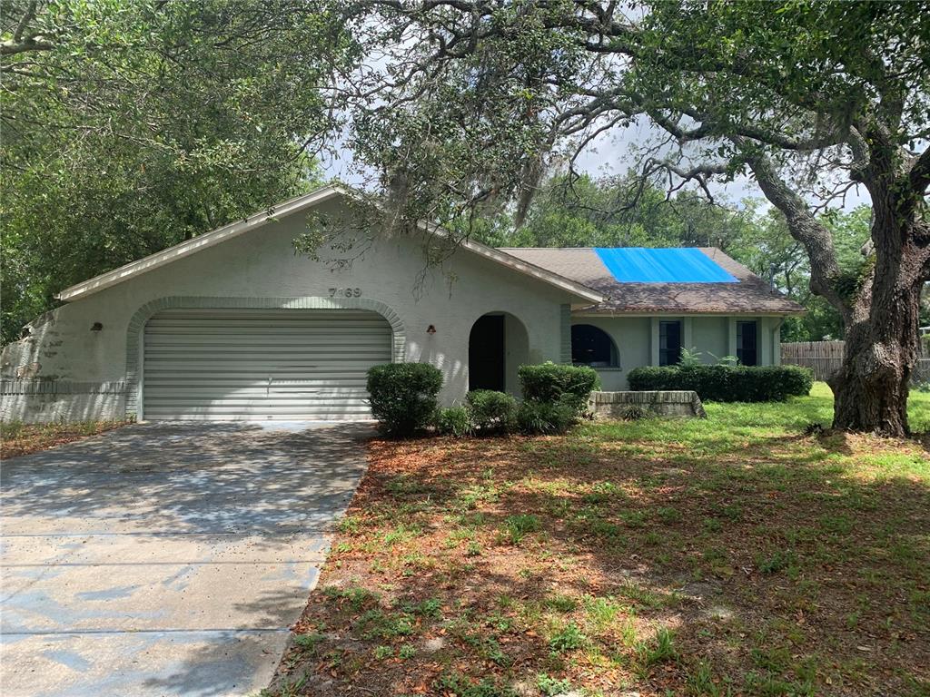7469 Tranquil Drive Spring Hill, FL 34606 - Photo 1 of 1 a front view of a house with a yard
